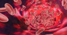 Montreal Researchers Develop 'Click Clotting' to Stop Bleeding in Seconds