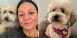 Owner and Dog Share Uncanny Cancer Journey