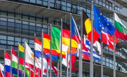 EU Low Risk from UK Meningitis Outbreak