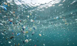 Microplastics Linked to Higher Stroke, Diabetes, and Hypertension Rates