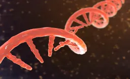 mRNA and mTOR Inhibition Combo Shows Promise in Reprogramming Allergic Immune Responses