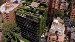 Vertical Gardens: A Cool Solution for Overheated Cities
