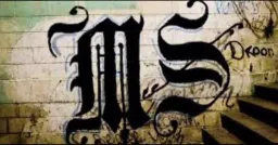 El Salvador Launches Mass Trial for Nearly 500 MS-13 Alleged Members
