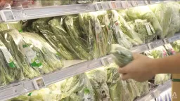 NTU Unveils AI for Food Freshness, Waste Reduction