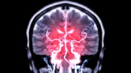 Mouse Study Reveals Acetylcholine as the Brain's Key to Breaking Habits