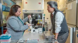 Living Knee Replacement: A New Era in Joint Health