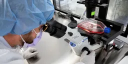 Targeted Chemotherapy System Delivers Drugs Directly to Tumors, Sparing Healthy Cells