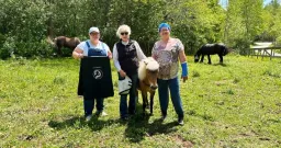 Horses Help Nova Scotians Heal in New Addiction Recovery Program