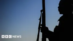 Mass Casualties in Borno Village Attack, Senator Reports