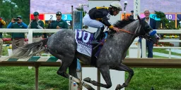 Napoleon Solo Triumphs at the 151st Preakness Stakes