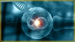 Embryo Selection Tech: A Genetic Gamble Demanding Urgent Regulation