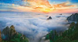 UNESCO Sites: Earth's Last Strongholds for Biodiversity and Climate