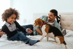 Science Reveals The Hidden Sleep Costs Of Co-Sleeping With Pets