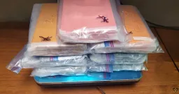 Fentanyl Trafficking Network Dismantled: $2.3M Seized in Major Bust