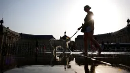 2025 Hottest Year on Record as Climate Emergency Deepens