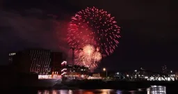 Protecting Pets During Canada Day Fireworks