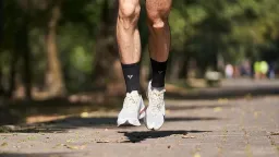 5 Evidence-Based Steps to Shield Your Health During Air Pollution Spikes