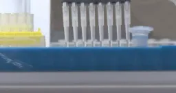 Ontario Invests $500K in Kingston Cancer Blood Test Tech