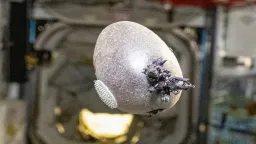 NASA Astronaut Grows Purple Potato Aboard ISS
