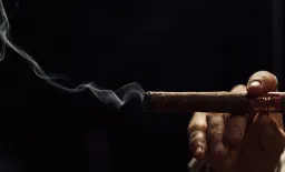 Pipe and Cigar Smoking Accelerates Lung Decline, Study Finds