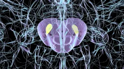 New Mouse Model Links Common Virus to Parkinson's-Like Damage