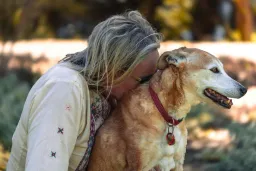 Why Dog Grief Hits Harder: The Unseen Witness in Your Private Life