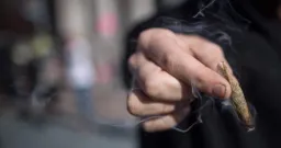 Quebec Cannabis Use Declines, Age Groups Show Varied Trends