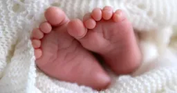 Quebec Judge Bans Sperm Donors Accused of Fathering Hundreds of Children
