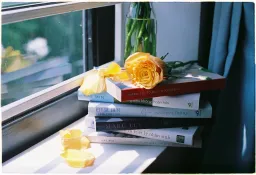 Rereading Familiar Novels: A Psychological Return, Not Escape