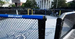 Stake Secures Prime Real Estate on the White House Octagon