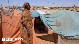 UN Finds Genocide Hallmarks in Sudan's El-Fasher Atrocities