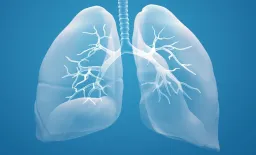 Low-Field MRI Shows Promise for Radiation-Free Sarcoidosis Monitoring