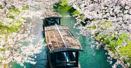 SBI Holdings Partners With Solana For Japan's First Crypto Financial Market