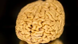 Science Breakthroughs: Ozempic's Unexpected Benefits, Superager Brain Secrets, and More