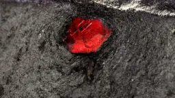First Garnet Discovery in Mars Meteorite Challenges Planetary Geology Models
