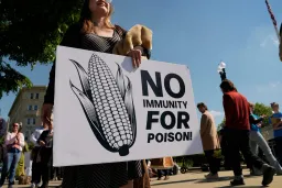 Supreme Court Blocks Roundup Cancer Lawsuits Against Bayer