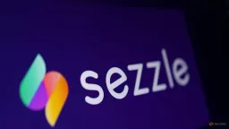 Sezzle Replaces Baker Tilly with PwC Amid Financial Controls Weakness