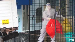 Singapore Eases Nipah Virus Measures as India Outbreak Stabilizes