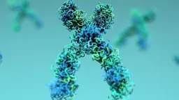 Aging May Be Reversible: Study Finds Mechanism to Restore Youthful DNA Organization