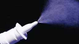 Nasal Spray Shows Promise in Restoring Memory in Aging Mice