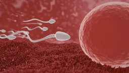 Frequent Ejaculation May Boost Male Fertility, Oxford Study Finds