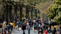Hackers Directly Approach Schools After Canvas Data Breach