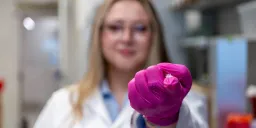Scientists Unveil 'Living Bandage' That Could Dramatically Speed Wound Healing