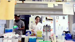 Cancer Breakthrough: Oncogenic Viruses Detected in Wastewater