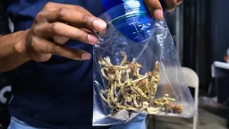 Trump Accelerates Research on Psychedelic Drugs for Mental Health