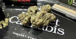 Trulieve Becomes First US Cannabis Operator to List on NYSE