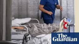 NSW Mental Health Crisis: Escaped Patients Lead to Tragedies