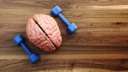 Cognitive Training Linked to Decades-Long Dementia Risk Reduction