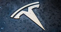 Tesla's Self-Driving Tech Gains European Foothold in Netherlands Approval