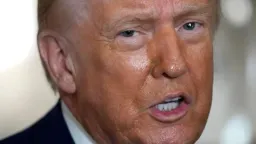 Supreme Court Strikes Down Trump's Unlawful Tariffs on Canada and World